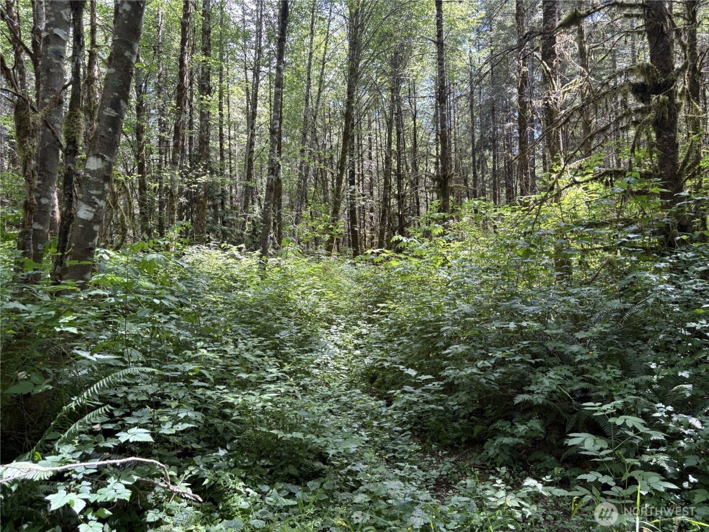 0 SR 508 , Onalaska, WA 98570