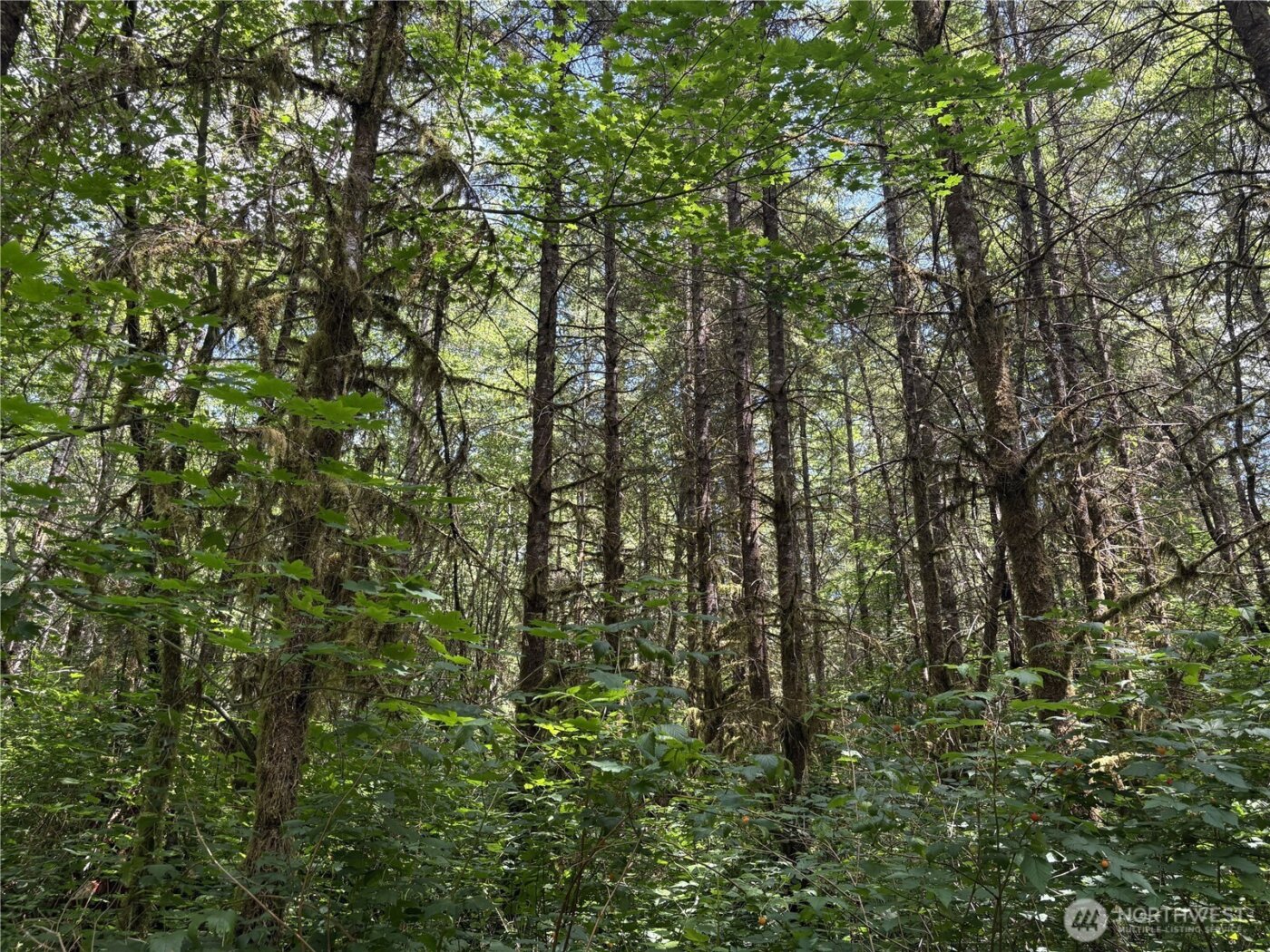 0 SR 508 , Onalaska, WA 98570