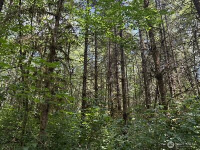 0 SR 508 , Onalaska, WA 98570 - Photo 17