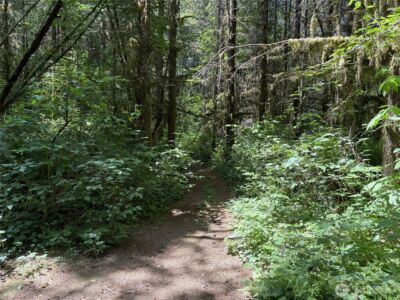 0 SR 508 , Onalaska, WA 98570 - Photo 18