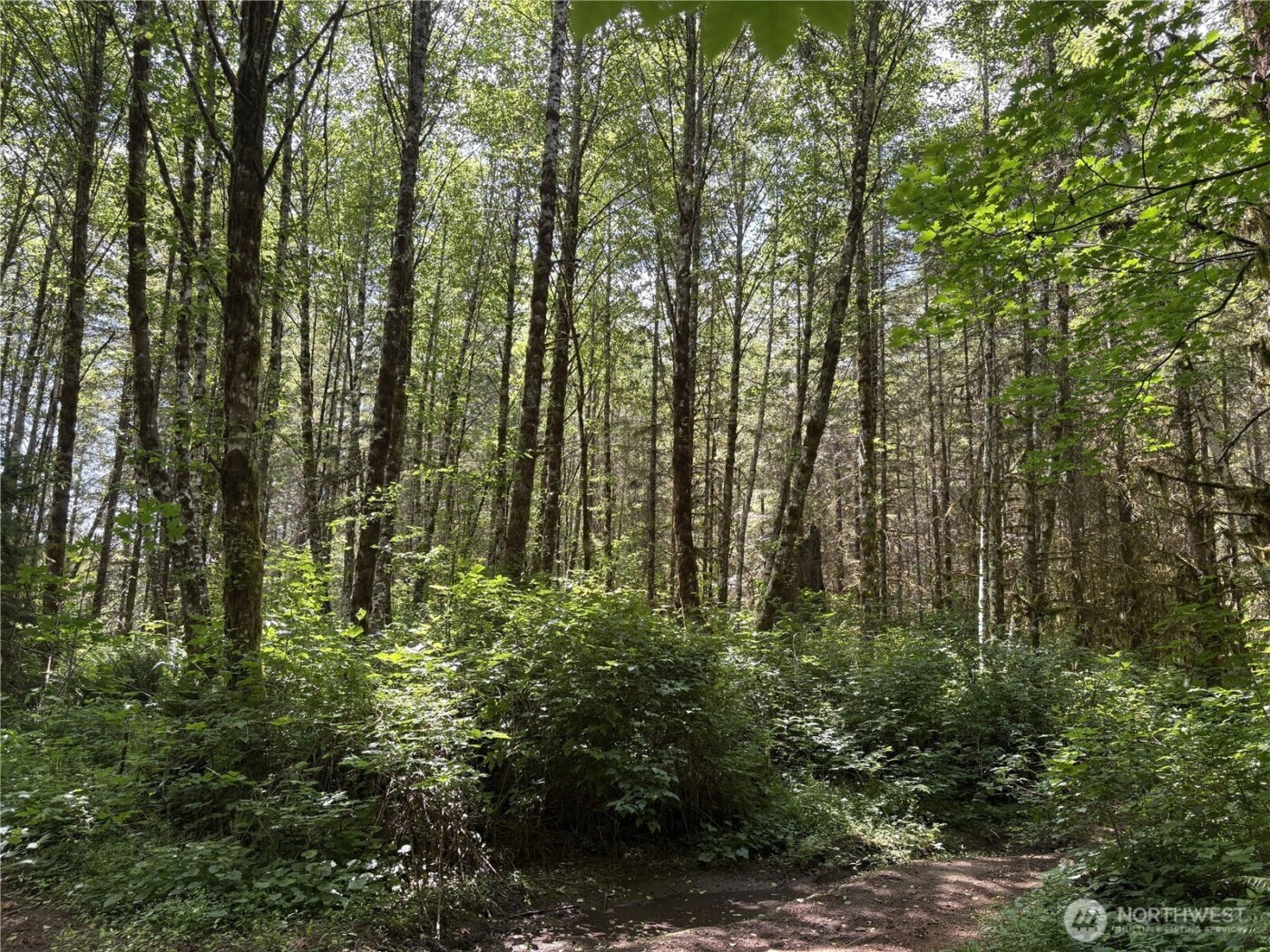 0 SR 508 , Onalaska, WA 98570