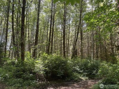 0 SR 508 , Onalaska, WA 98570 - Photo 20