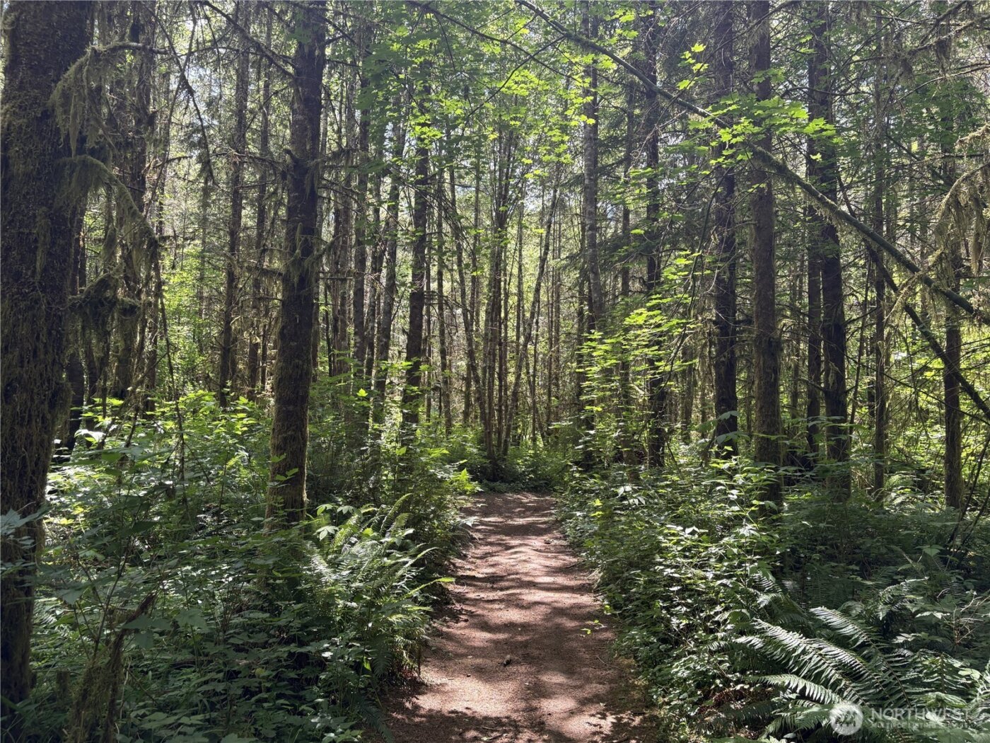 0 SR 508 , Onalaska, WA 98570