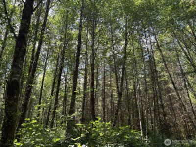 0 SR 508 , Onalaska, WA 98570 - Photo 21