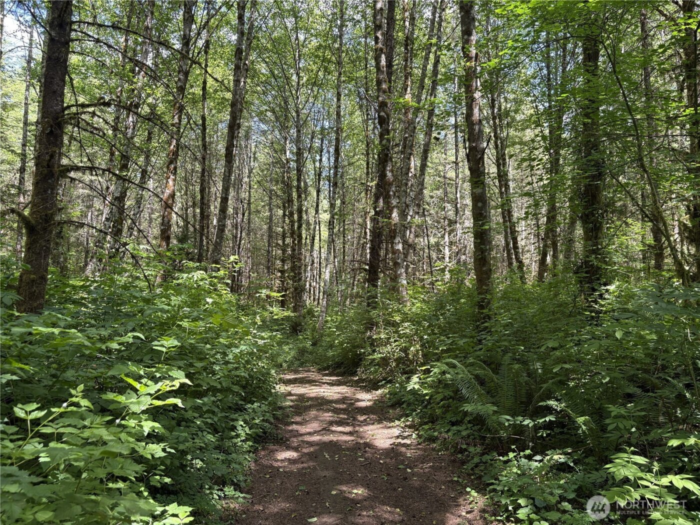 0 SR 508 , Onalaska, WA 98570