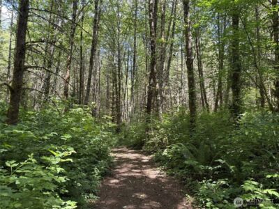 0 SR 508 , Onalaska, WA 98570 - Photo 22