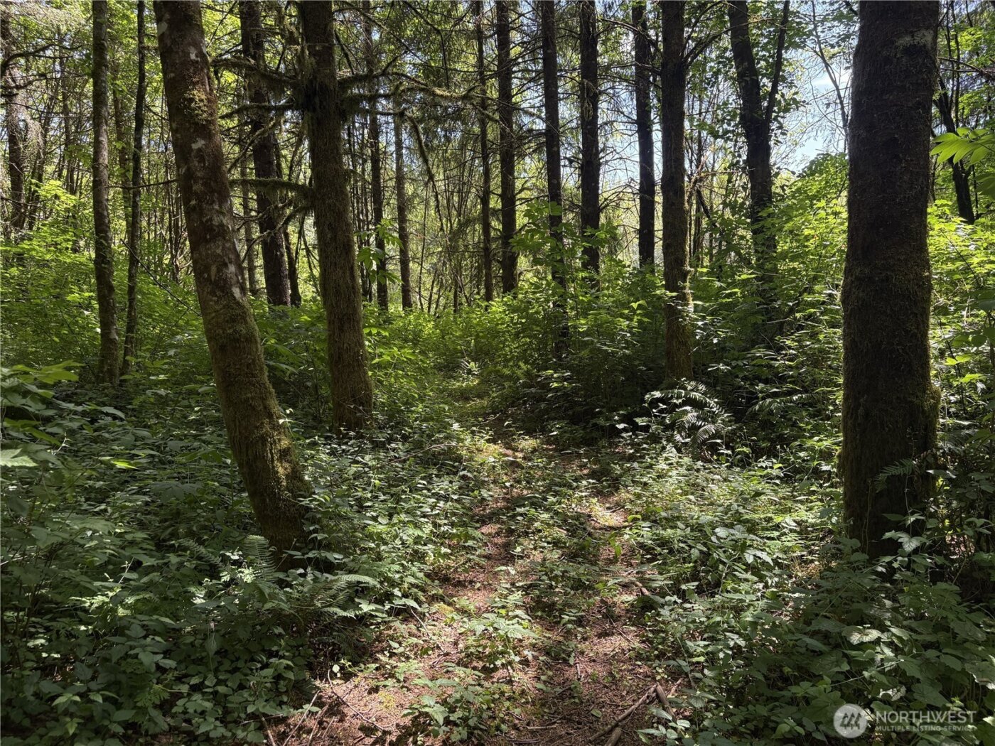 0 SR 508 , Onalaska, WA 98570