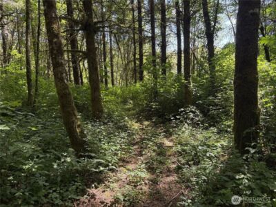 0 SR 508 , Onalaska, WA 98570 - Photo 23