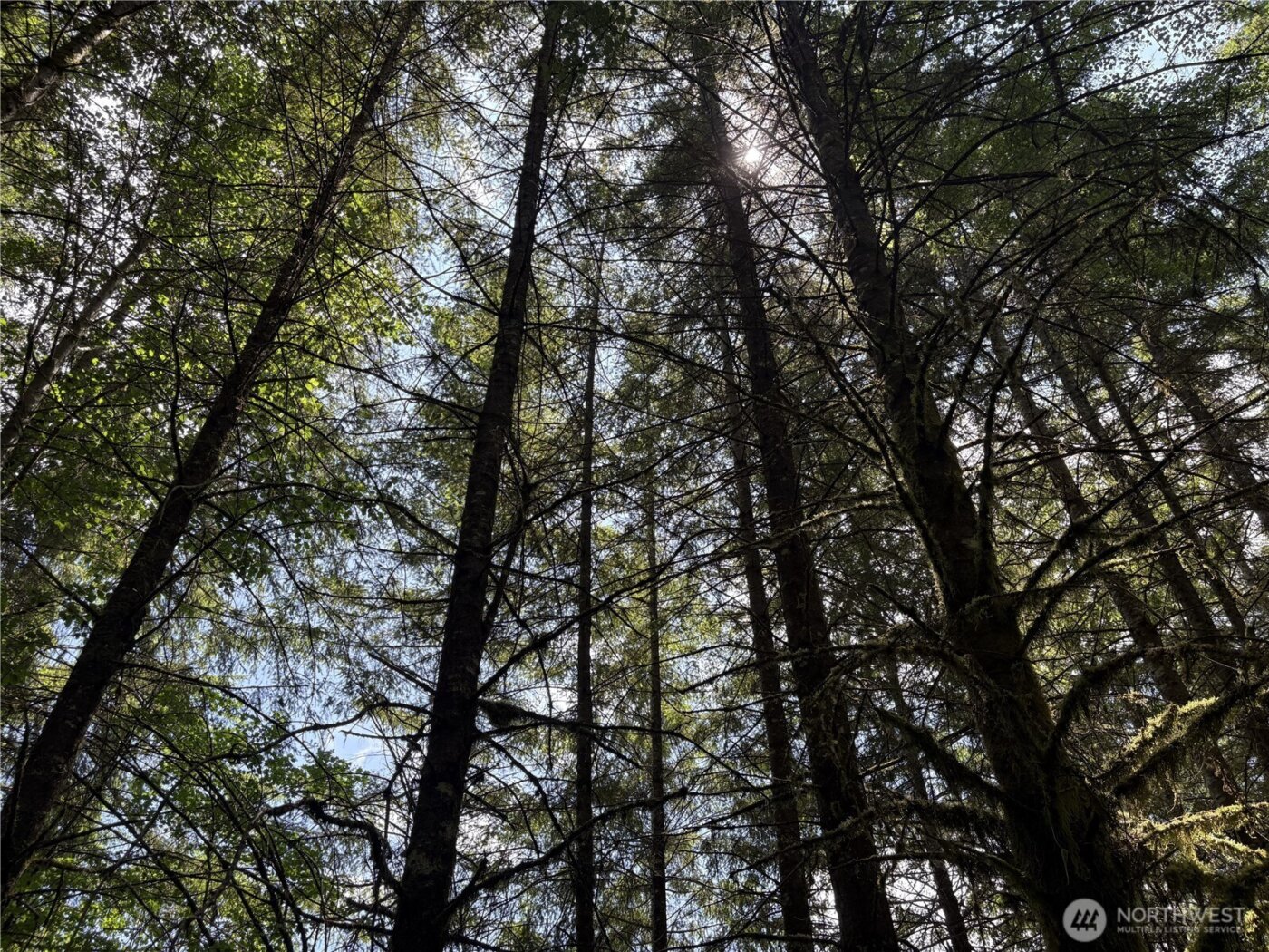 0 SR 508 , Onalaska, WA 98570