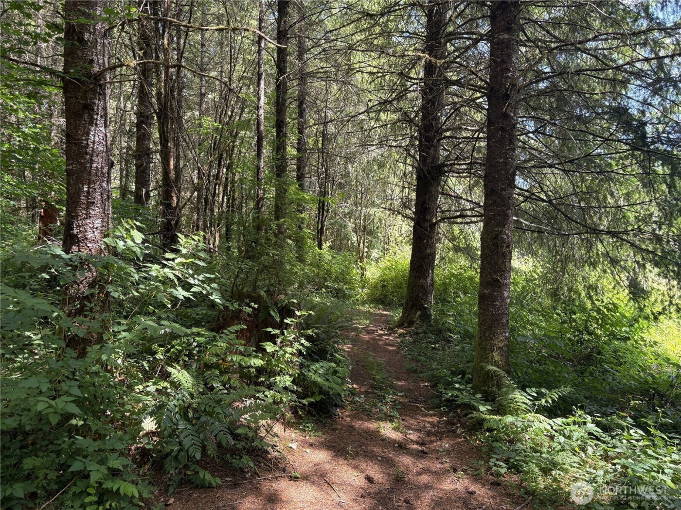 0 SR 508 , Onalaska, WA 98570