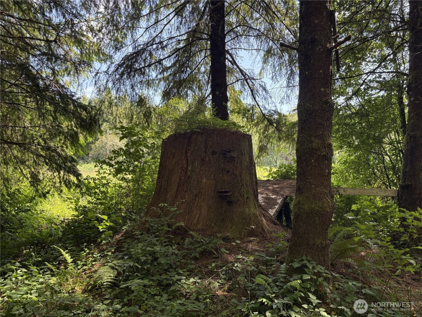 0 SR 508 , Onalaska, WA 98570