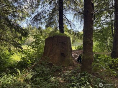 0 SR 508 , Onalaska, WA 98570 - Photo 26