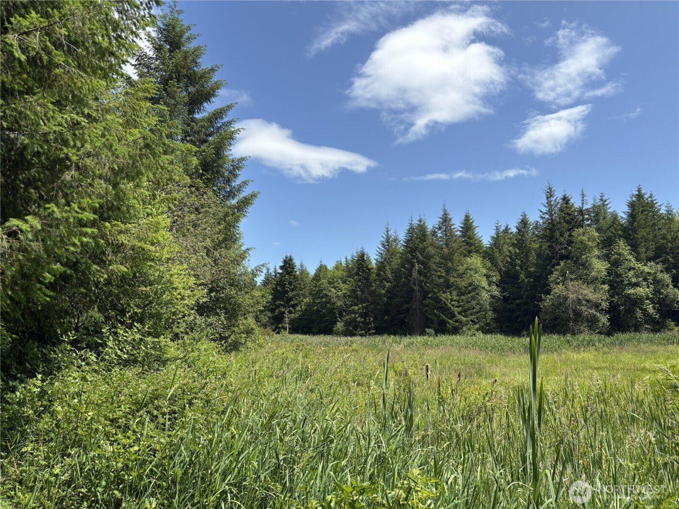 0 SR 508 , Onalaska, WA 98570