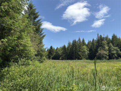 0 SR 508 , Onalaska, WA 98570 - Photo 27