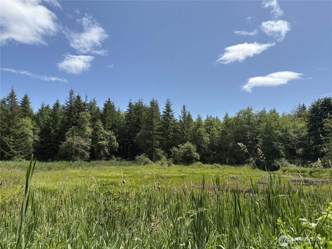 0 SR 508 , Onalaska, WA 98570