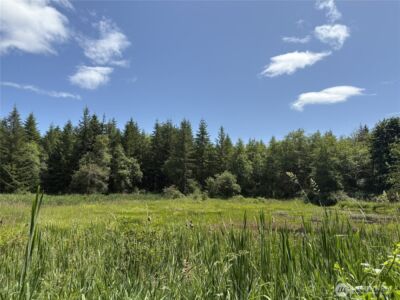 0 SR 508 , Onalaska, WA 98570 - Photo 28