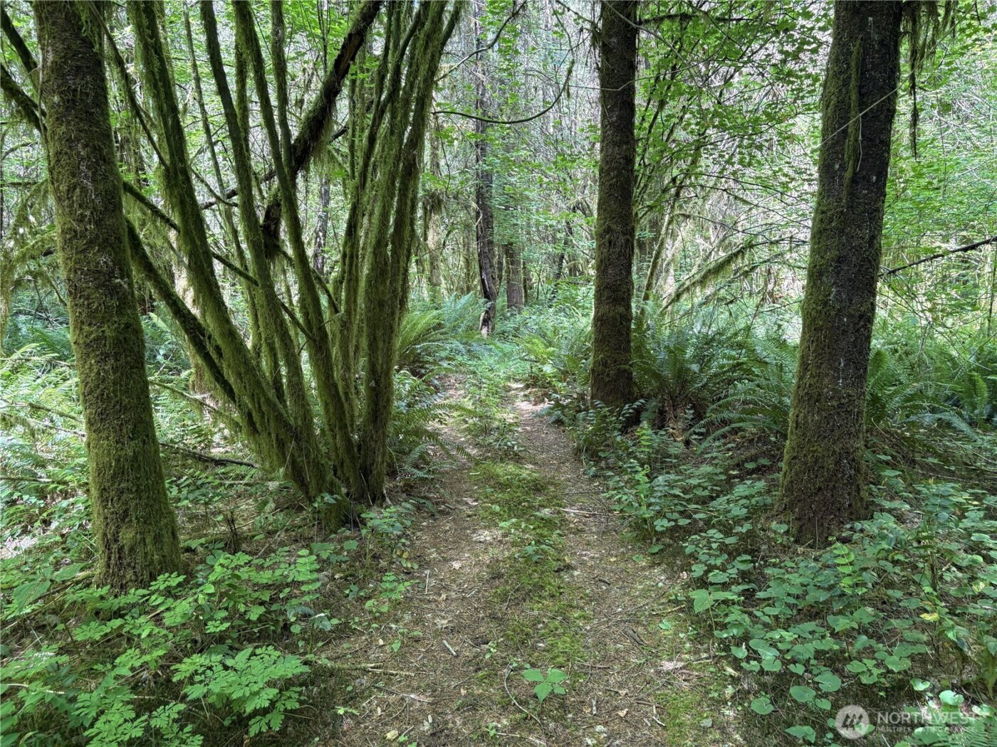 0 SR 508 , Onalaska, WA 98570