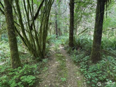 0 SR 508 , Onalaska, WA 98570 - Photo 29