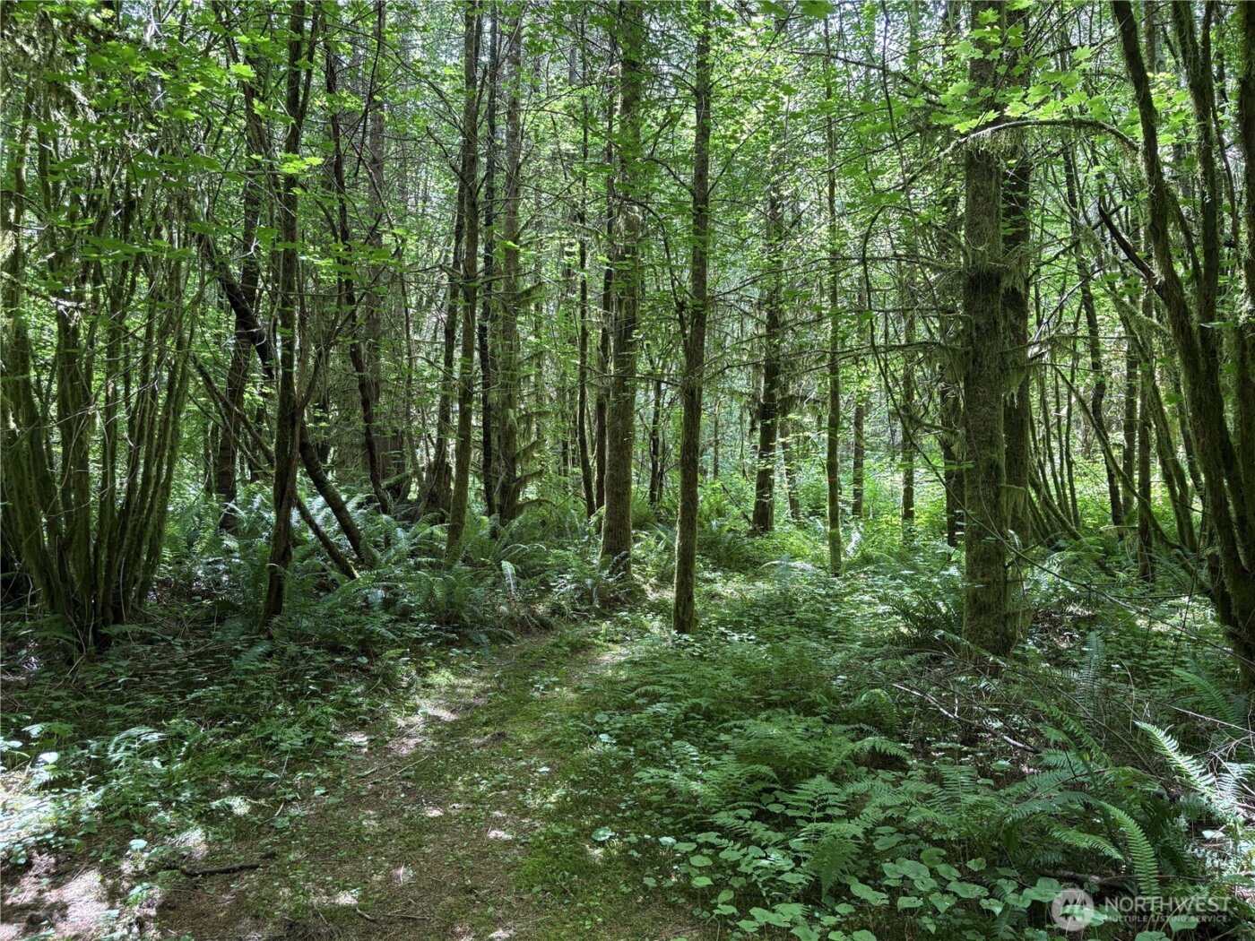 0 SR 508 , Onalaska, WA 98570