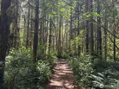 0 SR 508 , Onalaska, WA 98570 - Photo 3