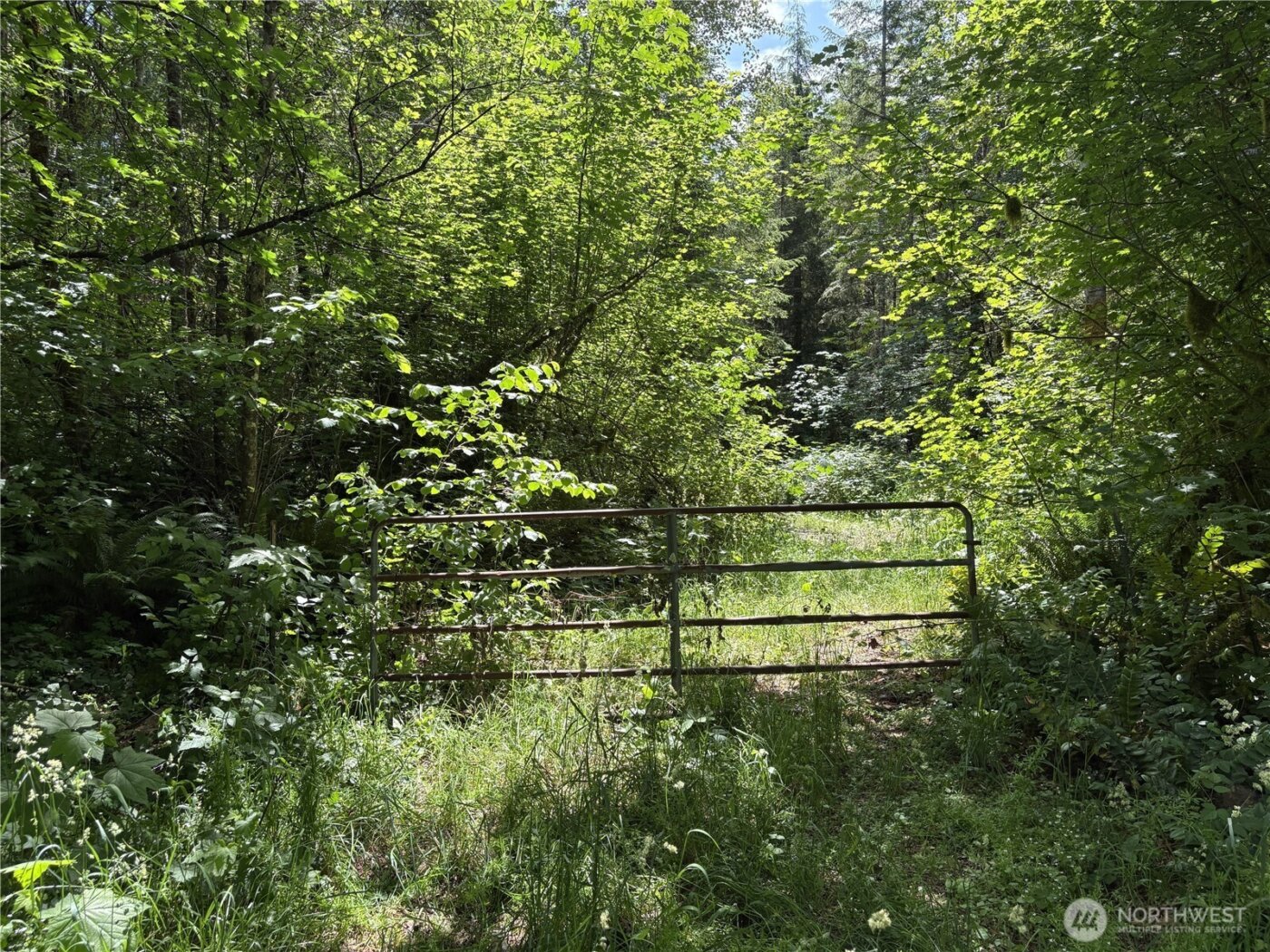 0 SR 508 , Onalaska, WA 98570