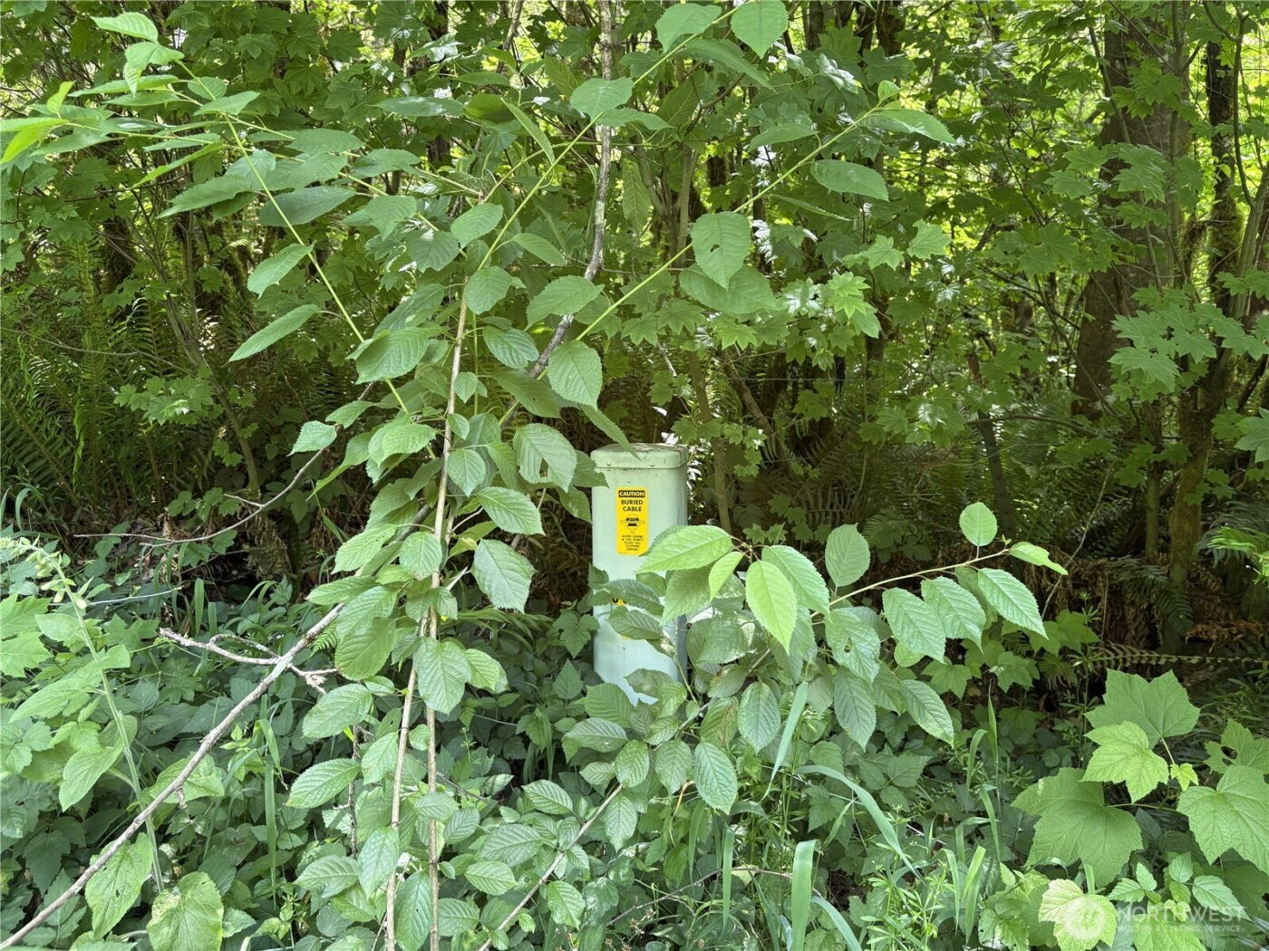 0 SR 508 , Onalaska, WA 98570