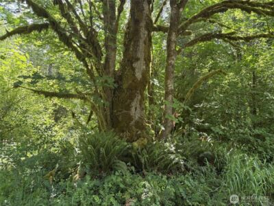 0 SR 508 , Onalaska, WA 98570 - Photo 33