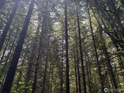 0 SR 508 , Onalaska, WA 98570 - Photo 4