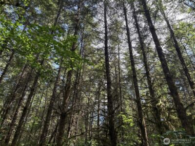 0 SR 508 , Onalaska, WA 98570 - Photo 5