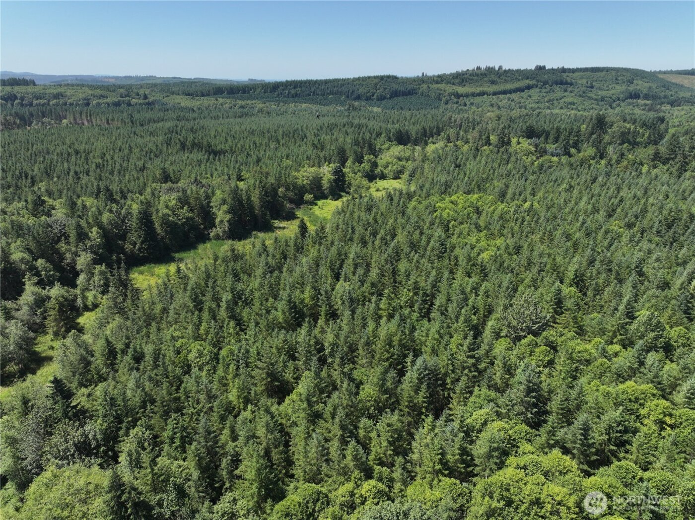 0 SR 508 , Onalaska, WA 98570