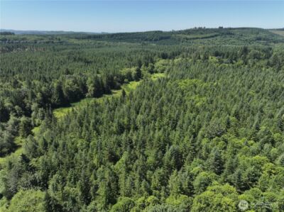 0 SR 508 , Onalaska, WA 98570 - Photo 8