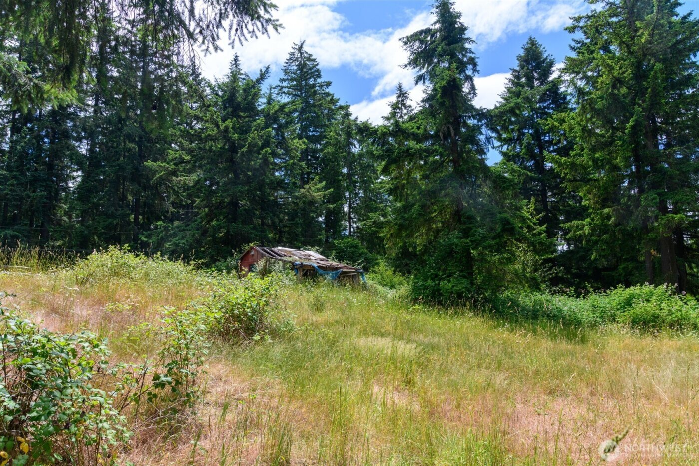 19 XXX SE 287th Street , Kent, WA 98042