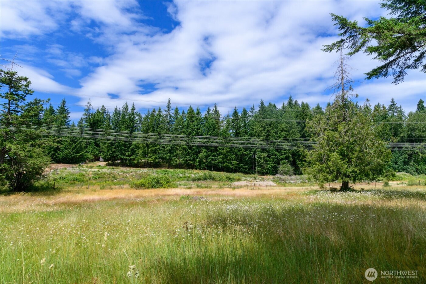 19 XXX SE 287th Street , Kent, WA 98042