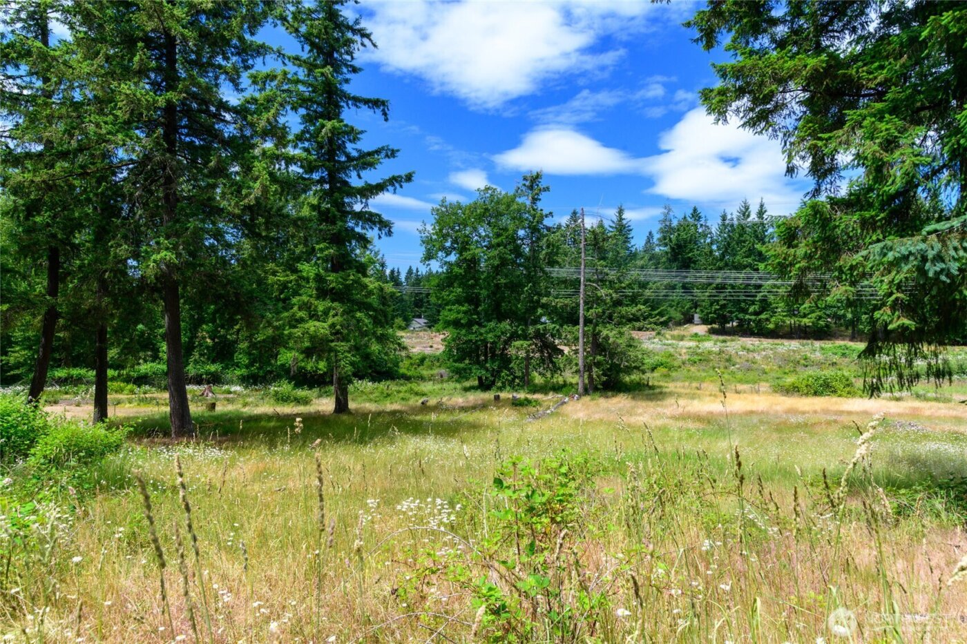 19 XXX SE 287th Street , Kent, WA 98042