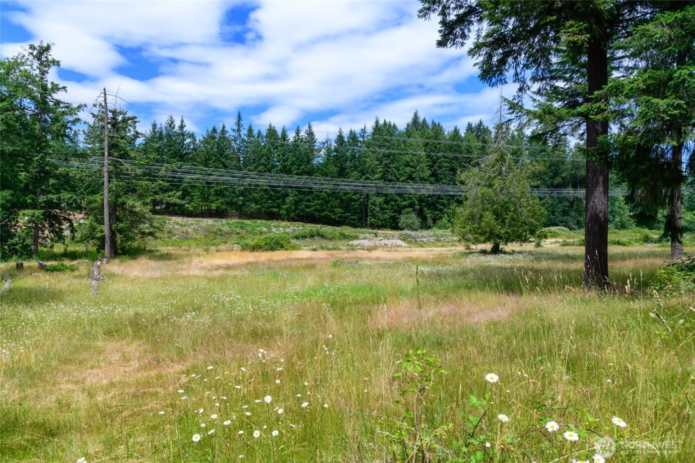 19 XXX SE 287th Street , Kent, WA 98042