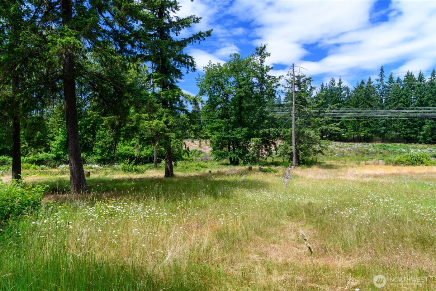 19 XXX SE 287th Street , Kent, WA 98042