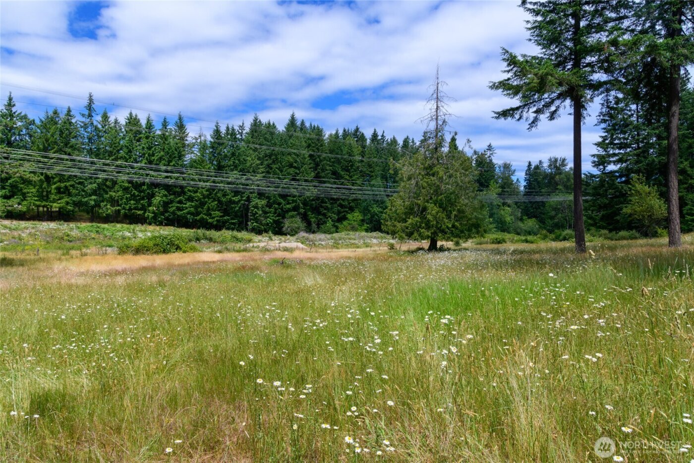 19 XXX SE 287th Street , Kent, WA 98042