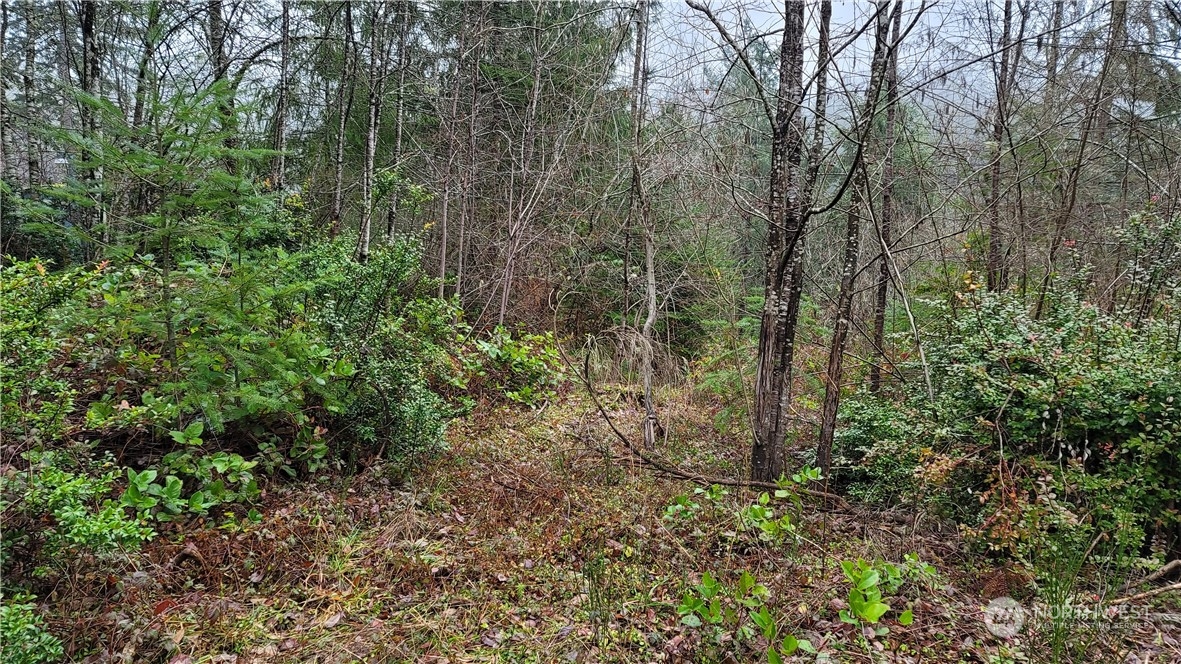 281 E Road Of Tralee , Shelton, WA 98584