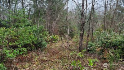281 E Road Of Tralee , Shelton, WA 98584 - Photo 5