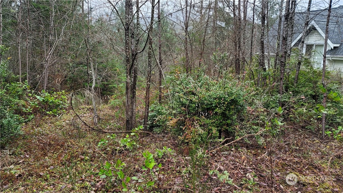 281 E Road Of Tralee , Shelton, WA 98584