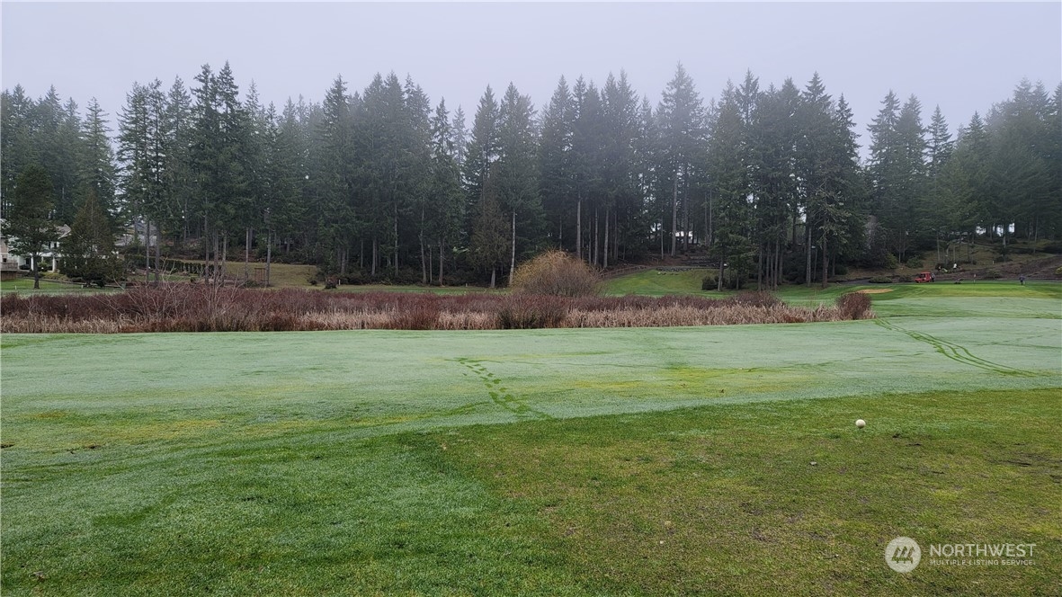 281 E Road Of Tralee , Shelton, WA 98584