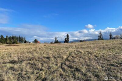 0 NKA Wa Harbor Lp & 336 Bell Bottom Road , Sequim, WA 98382 - Photo 19