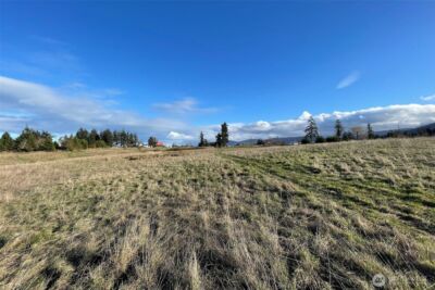 0 NKA Wa Harbor Lp & 336 Bell Bottom Road , Sequim, WA 98382 - Photo 6