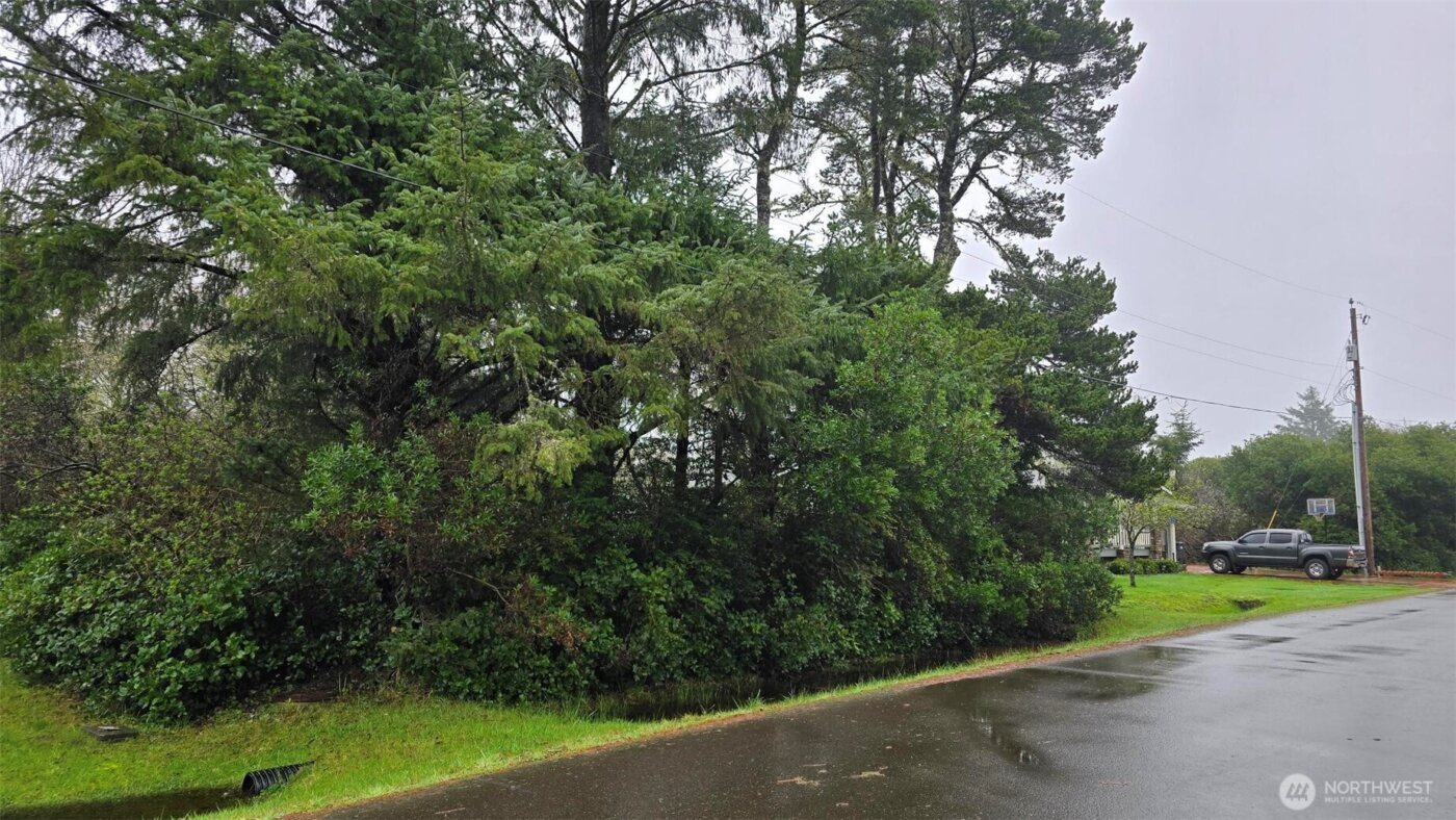 248 Wishkah Street , Ocean Shores, WA 98569