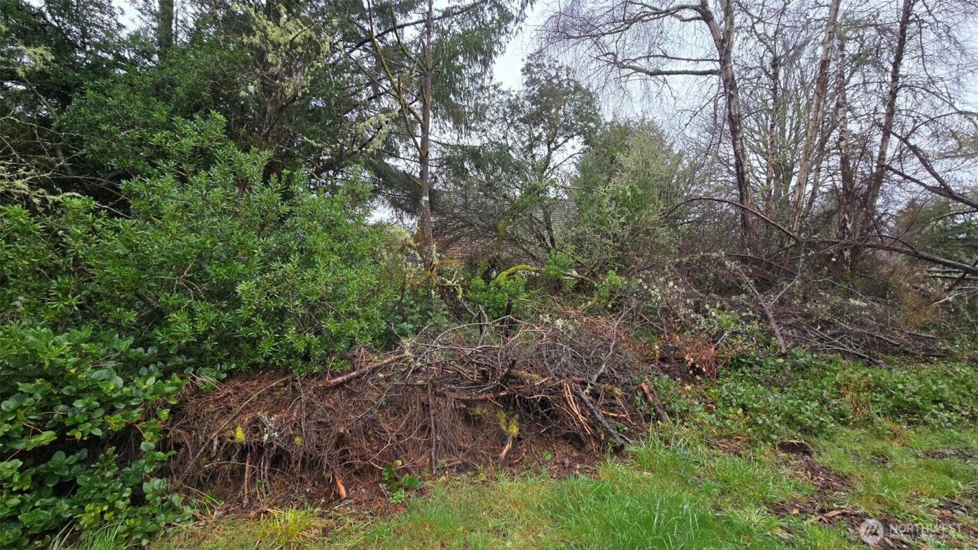 248 Wishkah Street , Ocean Shores, WA 98569