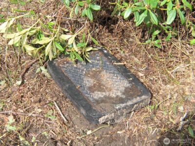 32317 Q Place , Ocean Park, WA 98640 - Photo 3