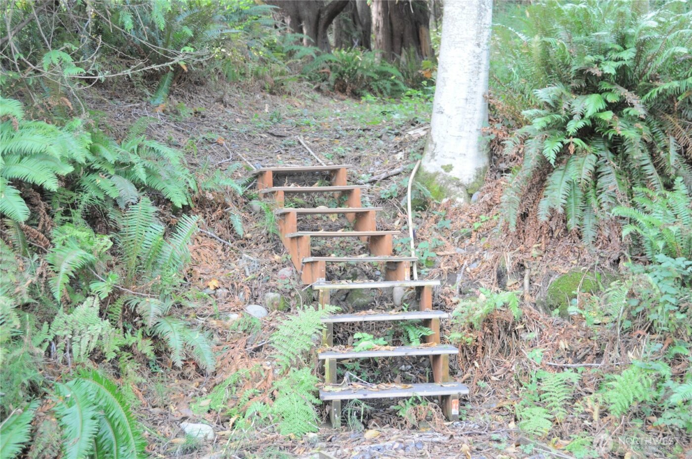 18895 W Big Lake Boulevard , Mount Vernon, WA 98274