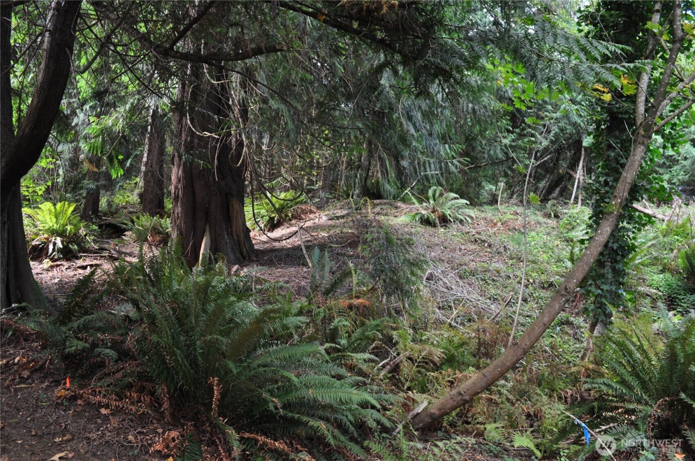 18895 W Big Lake Boulevard , Mount Vernon, WA 98274