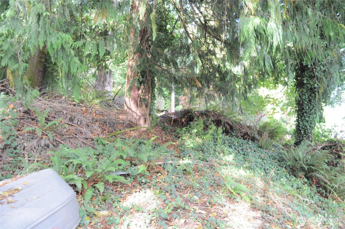 18895 W Big Lake Boulevard , Mount Vernon, WA 98274