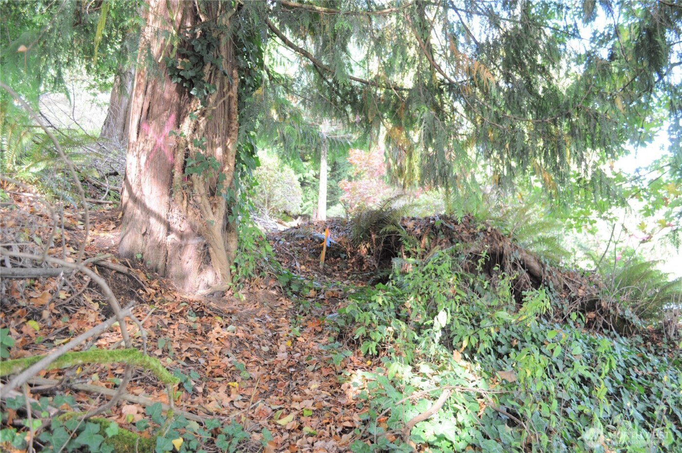 18895 W Big Lake Boulevard , Mount Vernon, WA 98274